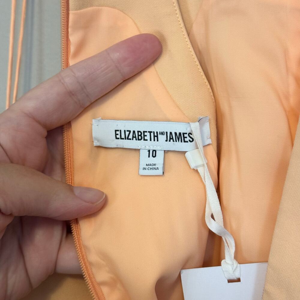 Elizabeth and James Reeves Mini Dress 10 Tangerine Halter Sheath Cocktail NWT - Picture 9 of 11